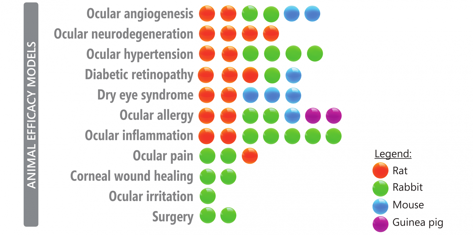 Proof of concept in animal models of human ocular diseases